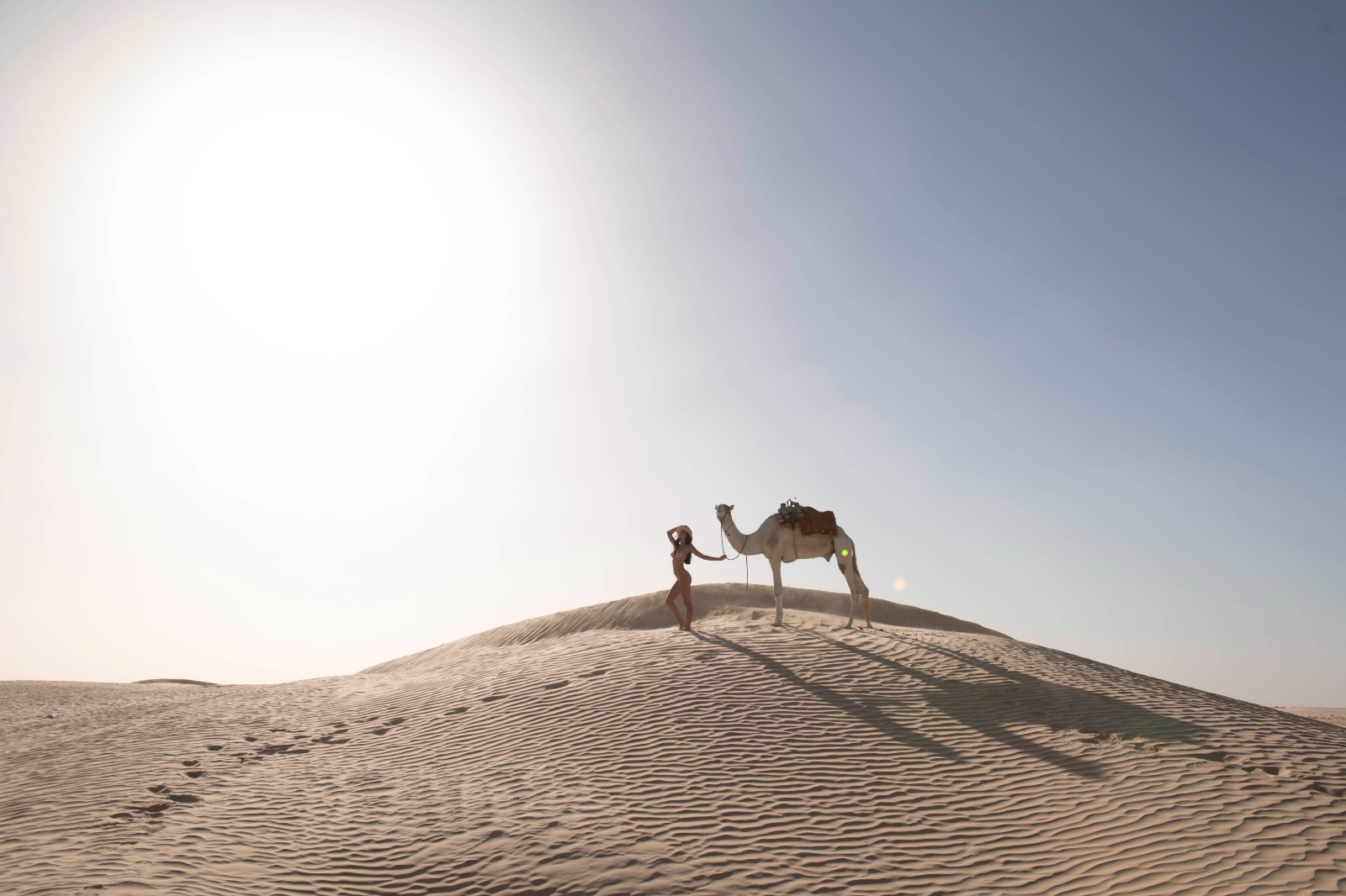 Portfolio Thumbnail Image